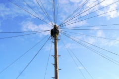 wires