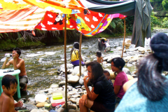 picnic
