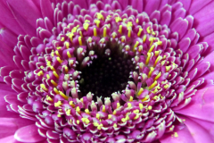 P1010769